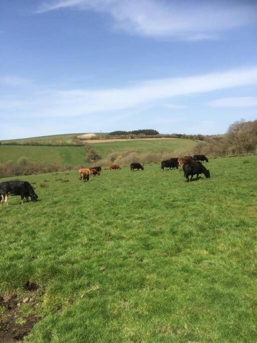 Farmer Bob'S Farmhouse Barnstaple Eksteriør billede